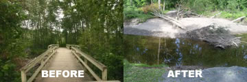 Before and after of flood channel footbrdge at Cottonwood Island Park.